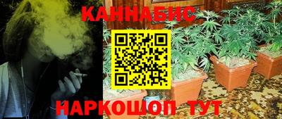 прущие грибы Конаково