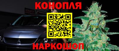 прущие грибы Конаково